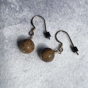 Picture Jasper Earrings